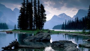 Awesome-trees-near-a-river-2048x2560